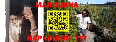 гидра Заволжье