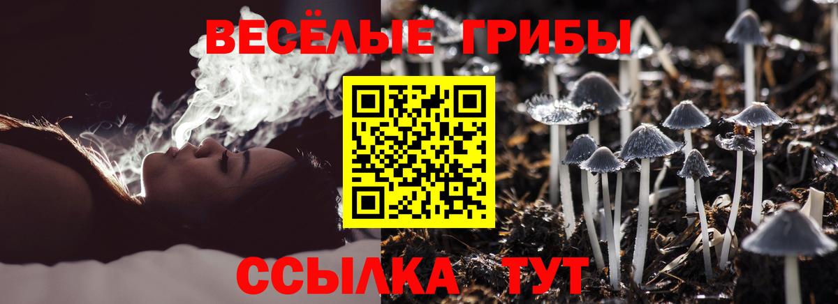 Норильск  закладки  Вход с VPN  Псилоцибиновые грибы Psilocybine cubensis 